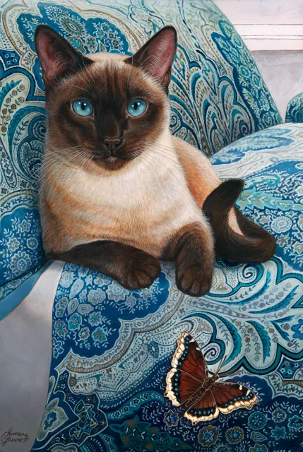 Azure Allure- Siamese Cat with a Mourning Cloak Butterfly, artwork by Tamara E Burnett