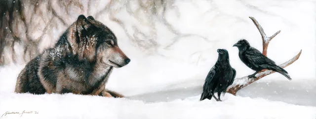 Dawn of the Dog- Timber Wolf with Ravens, artwork by Tamara E Burnett