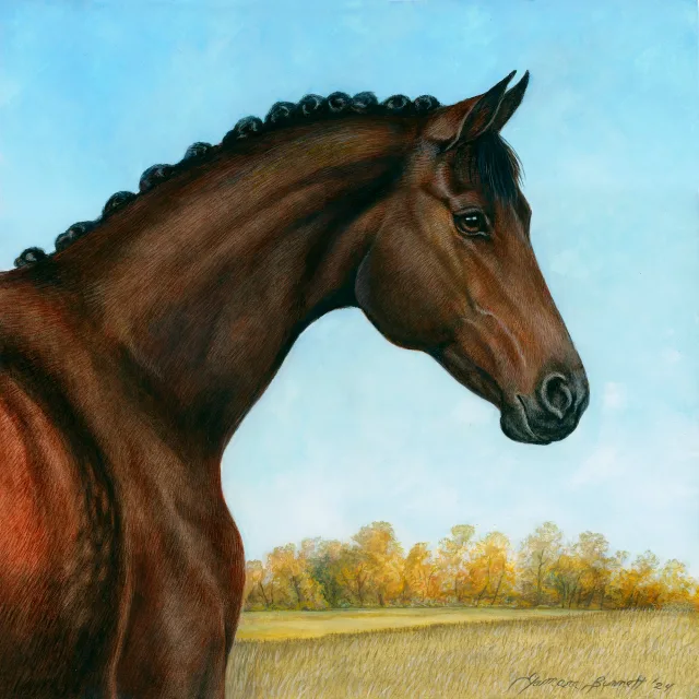 High Potential- Dutch Warmblood, artwork by Tamara E Burnett